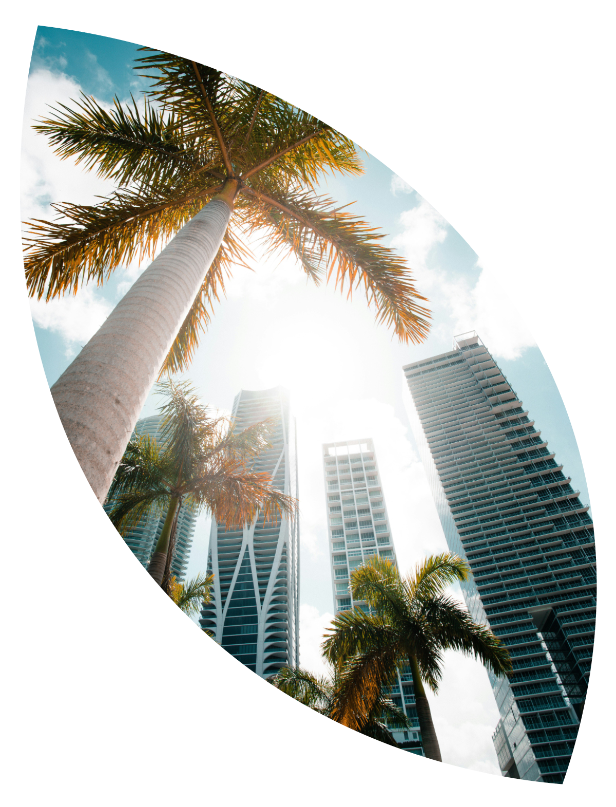 FL-business-magenta-financing