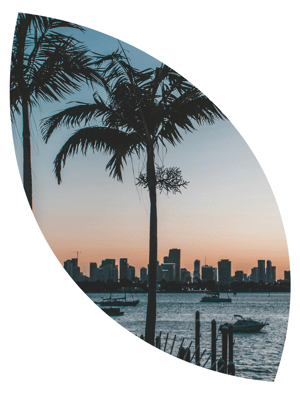 FL-business-magenta-financing